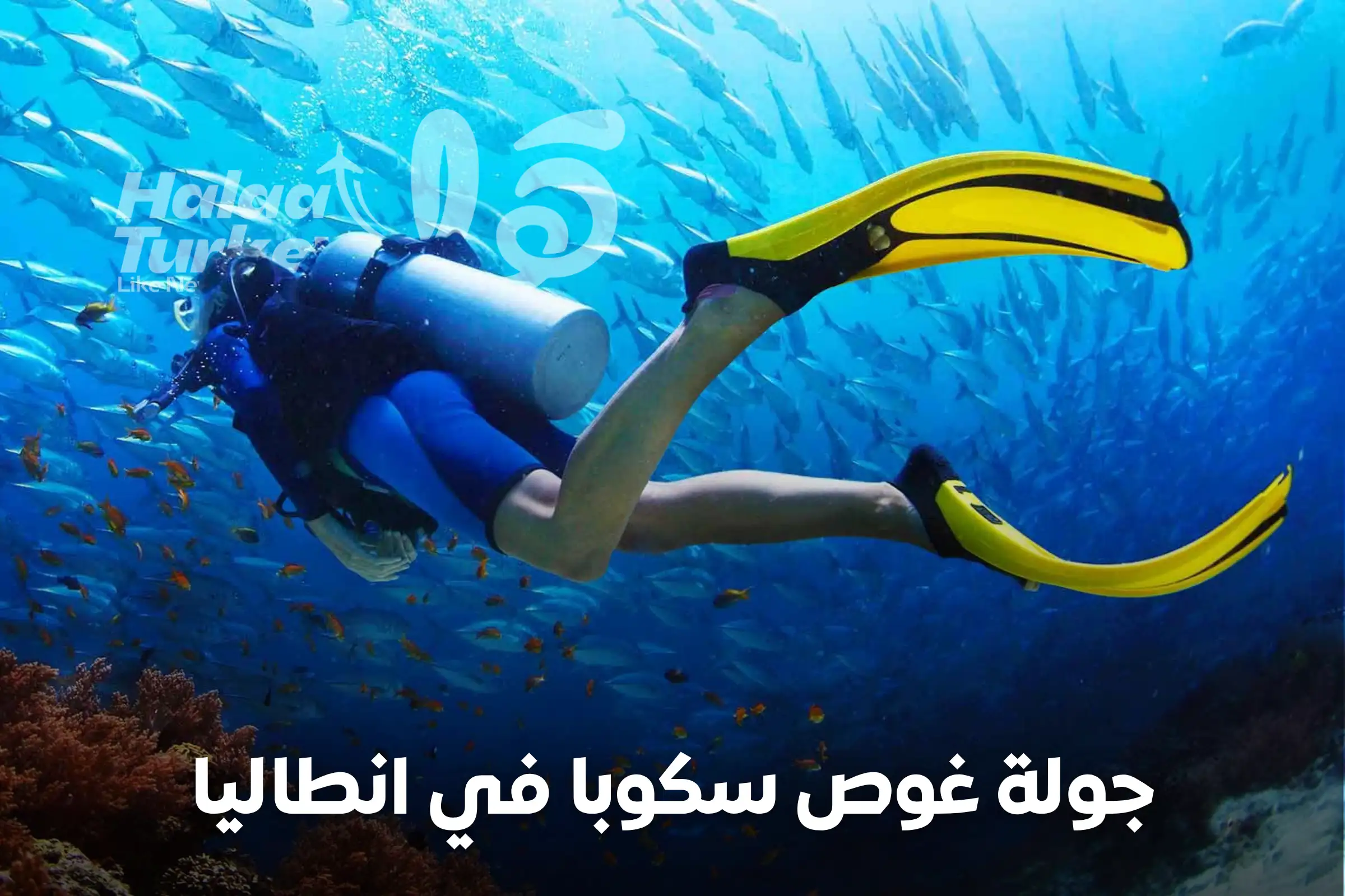 جولة غوص سكوبا في انطاليا
