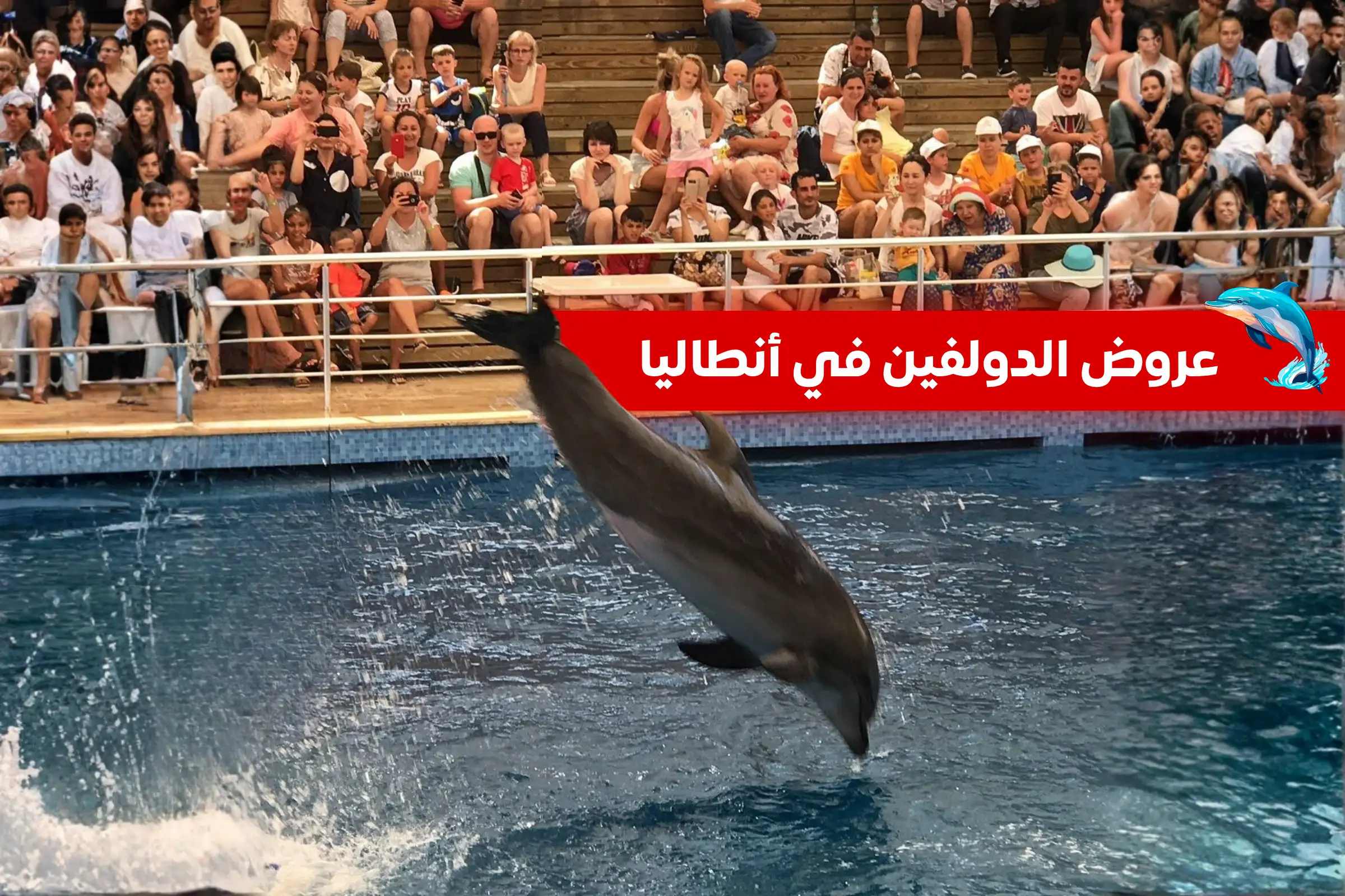 عروض الدولفين في أنطاليا