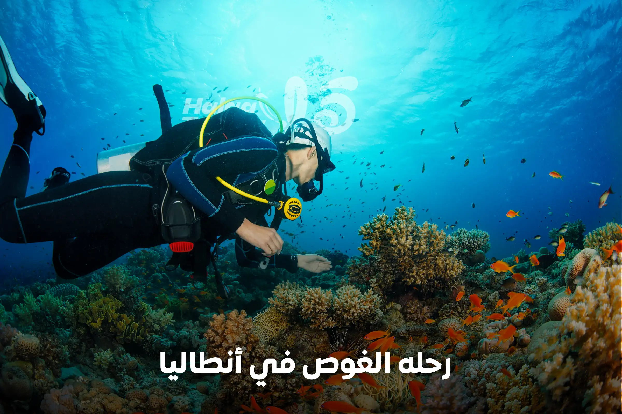 رحله الغوص في أنطاليا