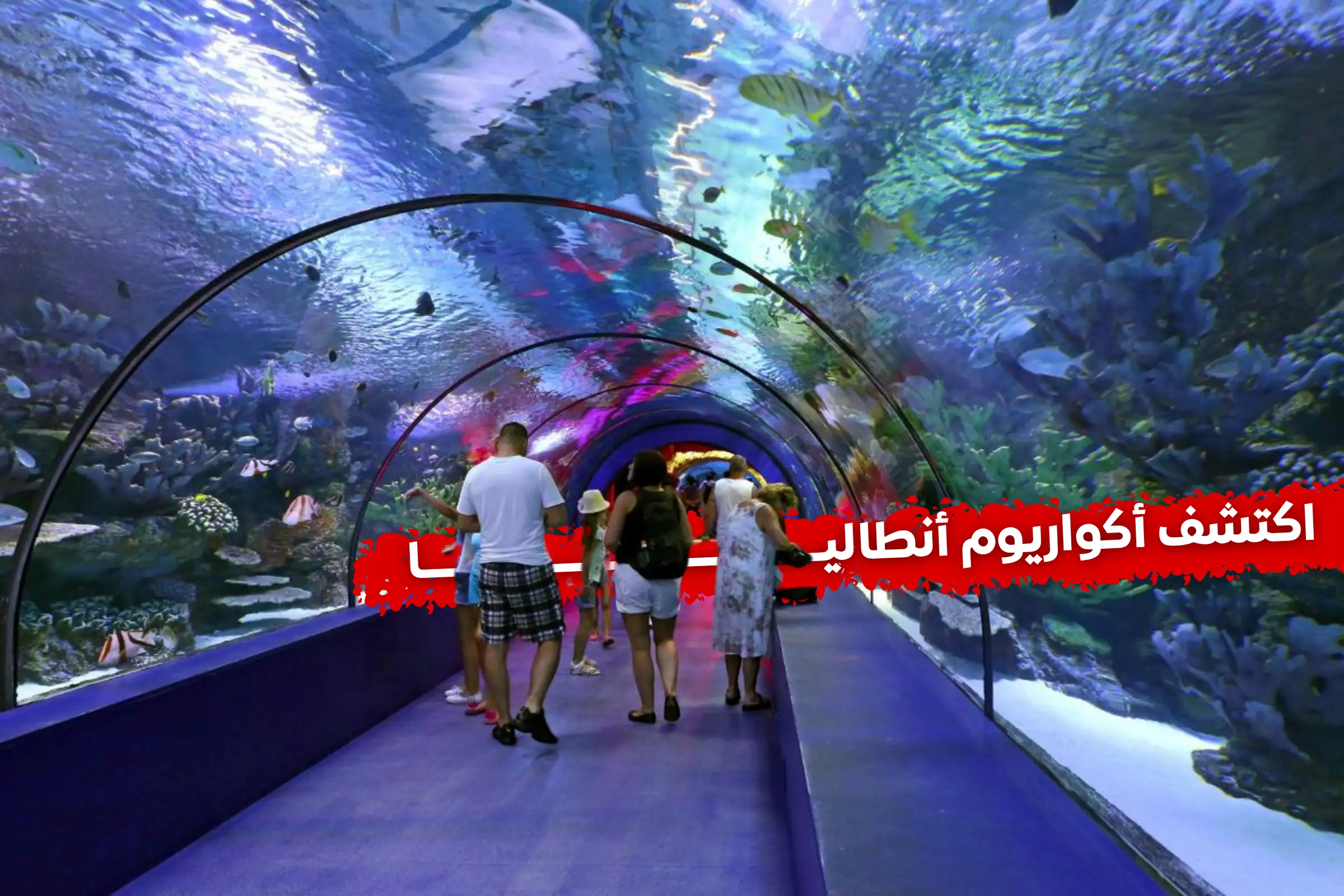 رحلة اكواريوم أنطاليا