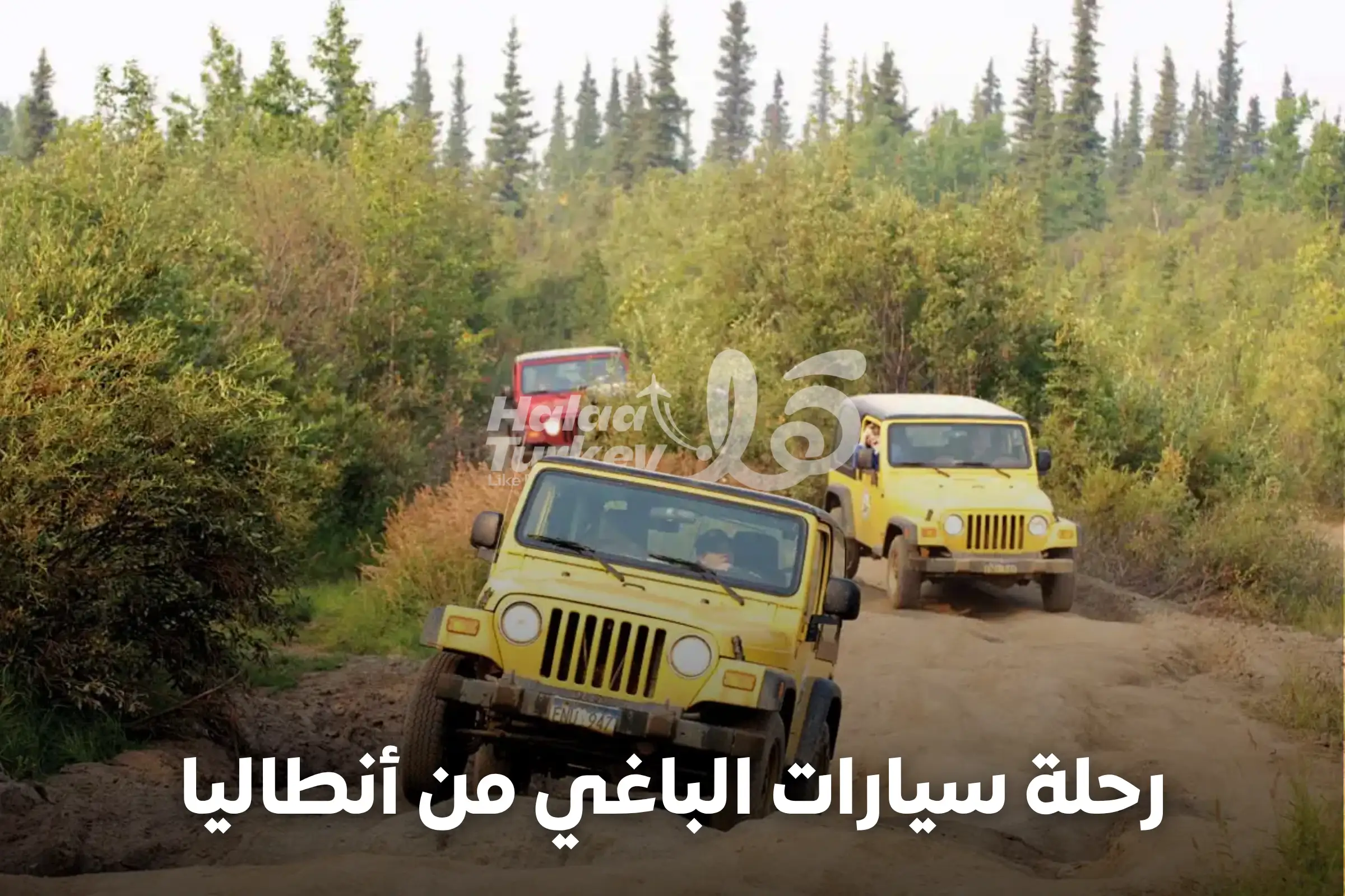 رحلة سيارات الباغي من أنطاليا